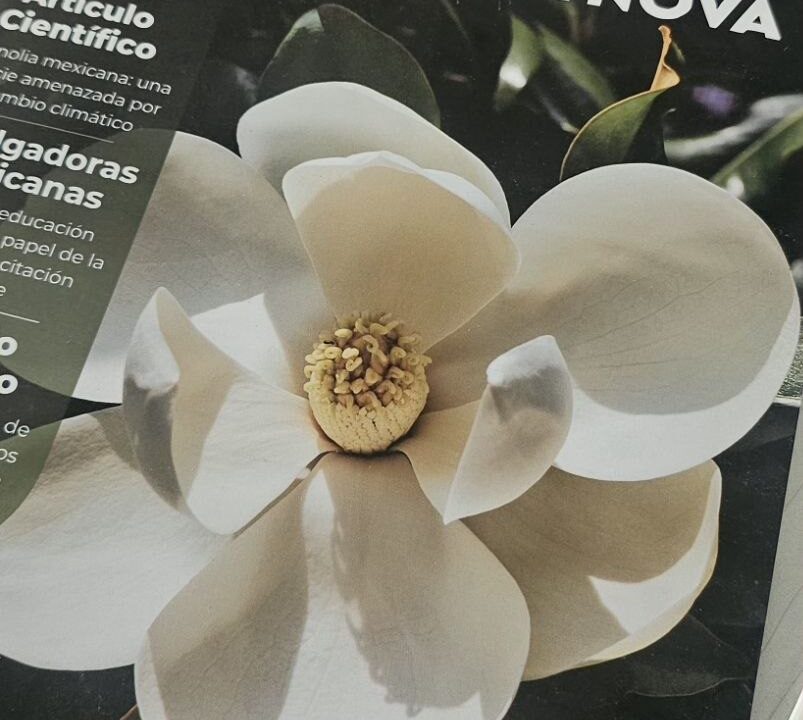 Citnova abre convocatoria para visibilizar el talento científico y tecnológico de Hidalgo