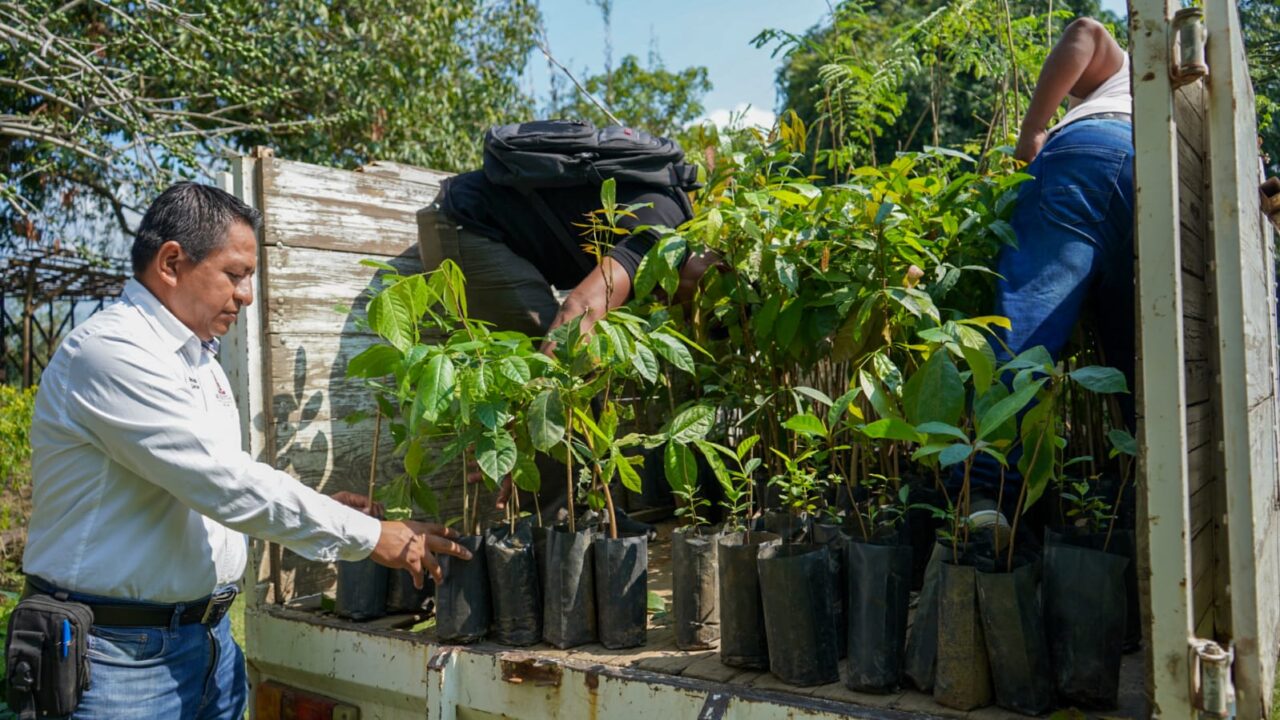 Gobierno de Huejutla fortalece compromiso ambiental con campaña permanente de reforestación