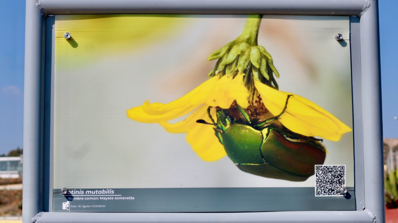 DESCTI invita a recorrer el Sendero de la Ciencia, la Tecnología y la Biodiversidad