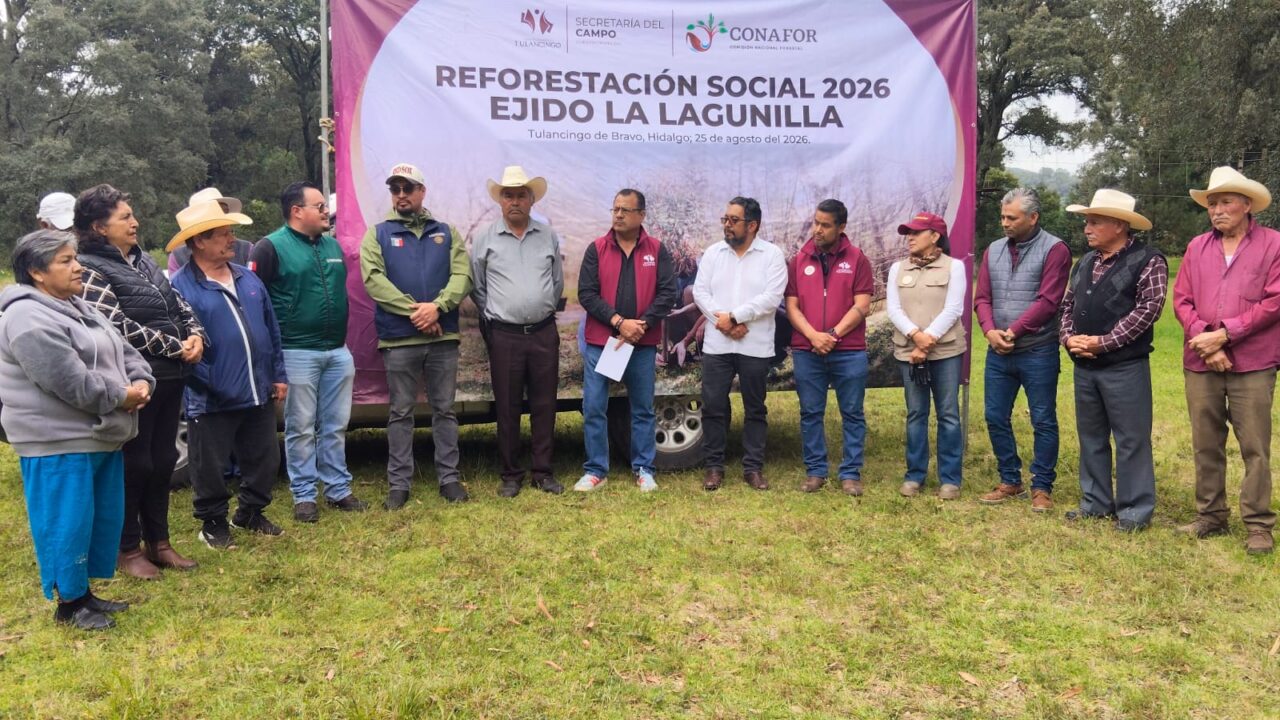 Reforestarán El Camaleón con 2 mil pinos para recuperar los bosques de Tulancingo.