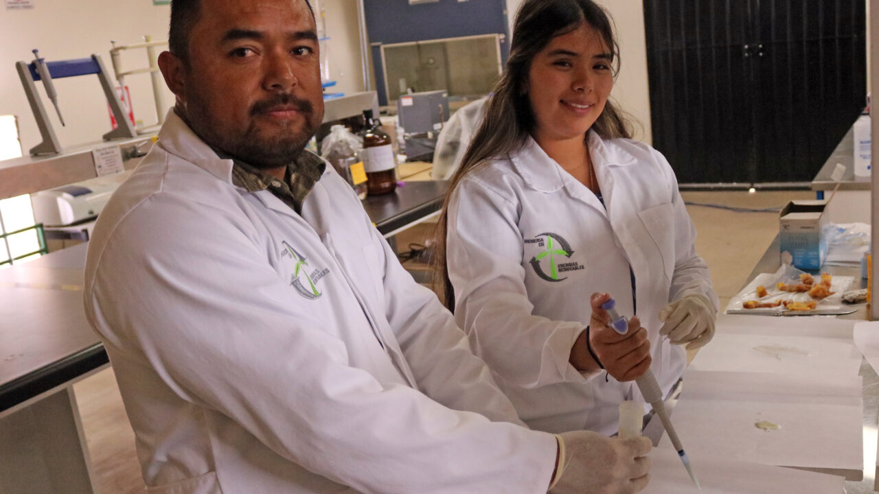 ITESHU transforma residuos de maguey en una alternativa al mixiote natural
